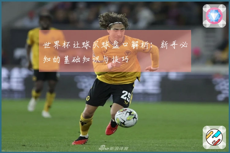 世界杯让球买球盘口解析：新手必知的基础知识与技巧