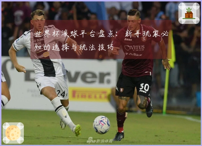 世界杯滚球平台盘点：新手玩家必知的选择与玩法技巧
