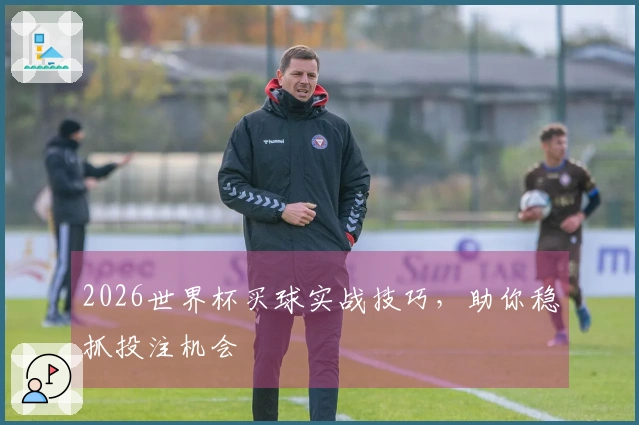 2026世界杯买球实战技巧，助你稳抓投注机会