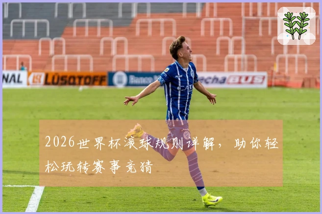 2026世界杯滚球规则详解，助你轻松玩转赛事竞猜