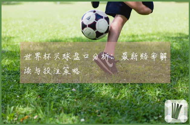 世界杯买球盘口分析：最新赔率解读与投注策略