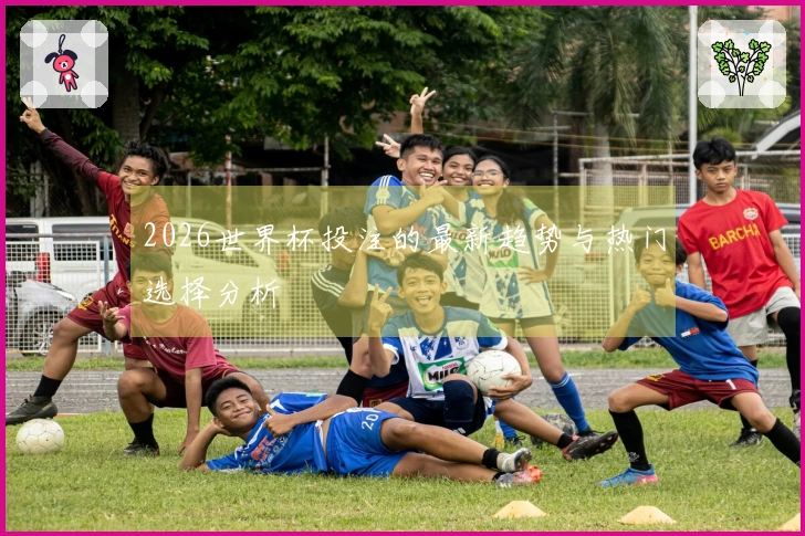 2026世界杯投注的最新趋势与热门选择分析