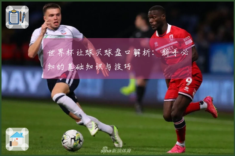 世界杯让球买球盘口解析：新手必知的基础知识与技巧