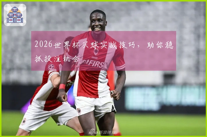 2026世界杯买球实战技巧，助你稳抓投注机会