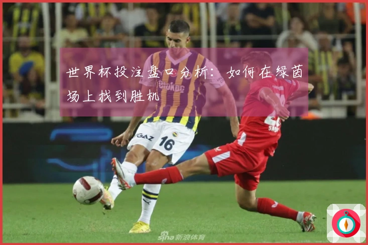 世界杯投注盘口分析：如何在绿茵场上找到胜机